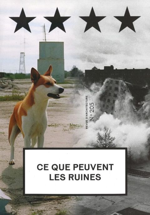 Ce que peuvent les ruines