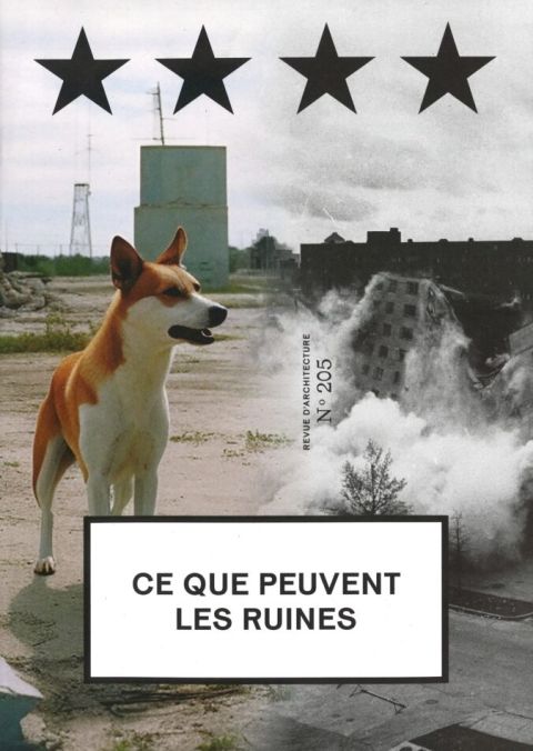 Ce que peuvent les ruines