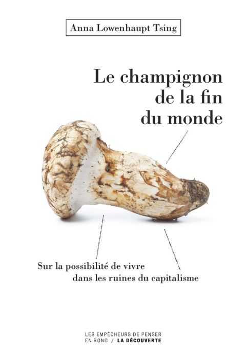 Le champignon de la fin du monde