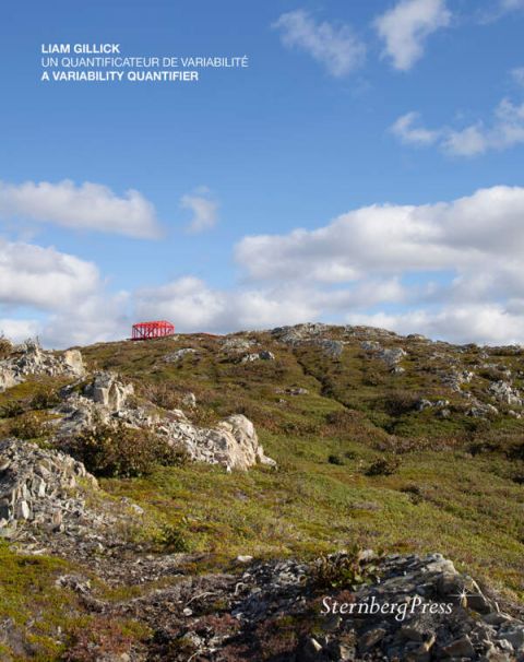 Un quantificateur de variabilit&eacute;