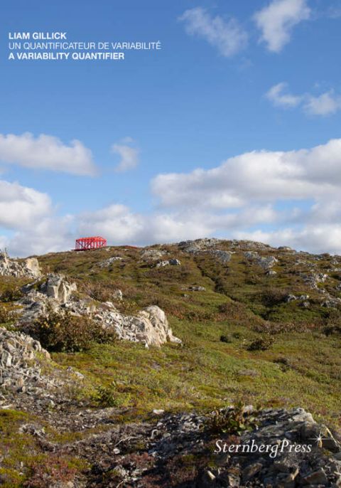 Un quantificateur de variabilit&eacute;