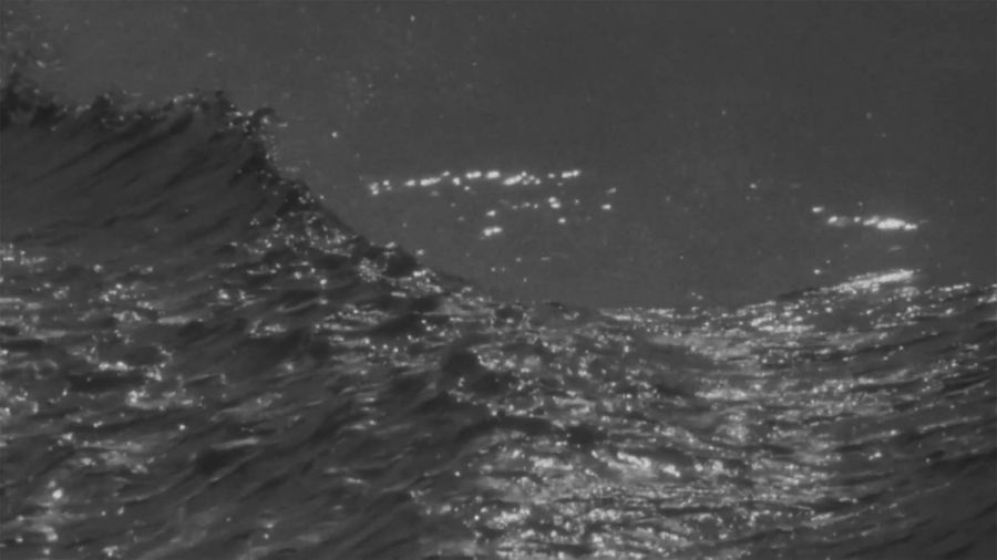 Le Plongeon