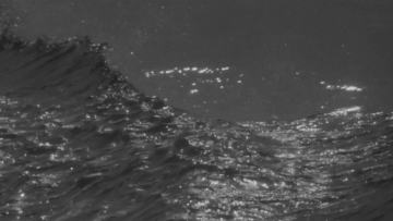 Le Plongeon